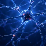 Neurocritical Care